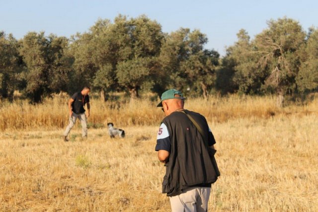 Αγωνες Α.Κ.Ι 11/6/2017